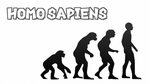 HOMO SAPIENS - YouTube